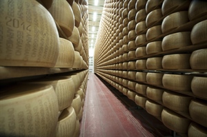 Caseifici Aperti: sabato 3 e domenica 4 ottobre alla scoperta del Parmigiano reggiano DOP, in tutta sicurezza.